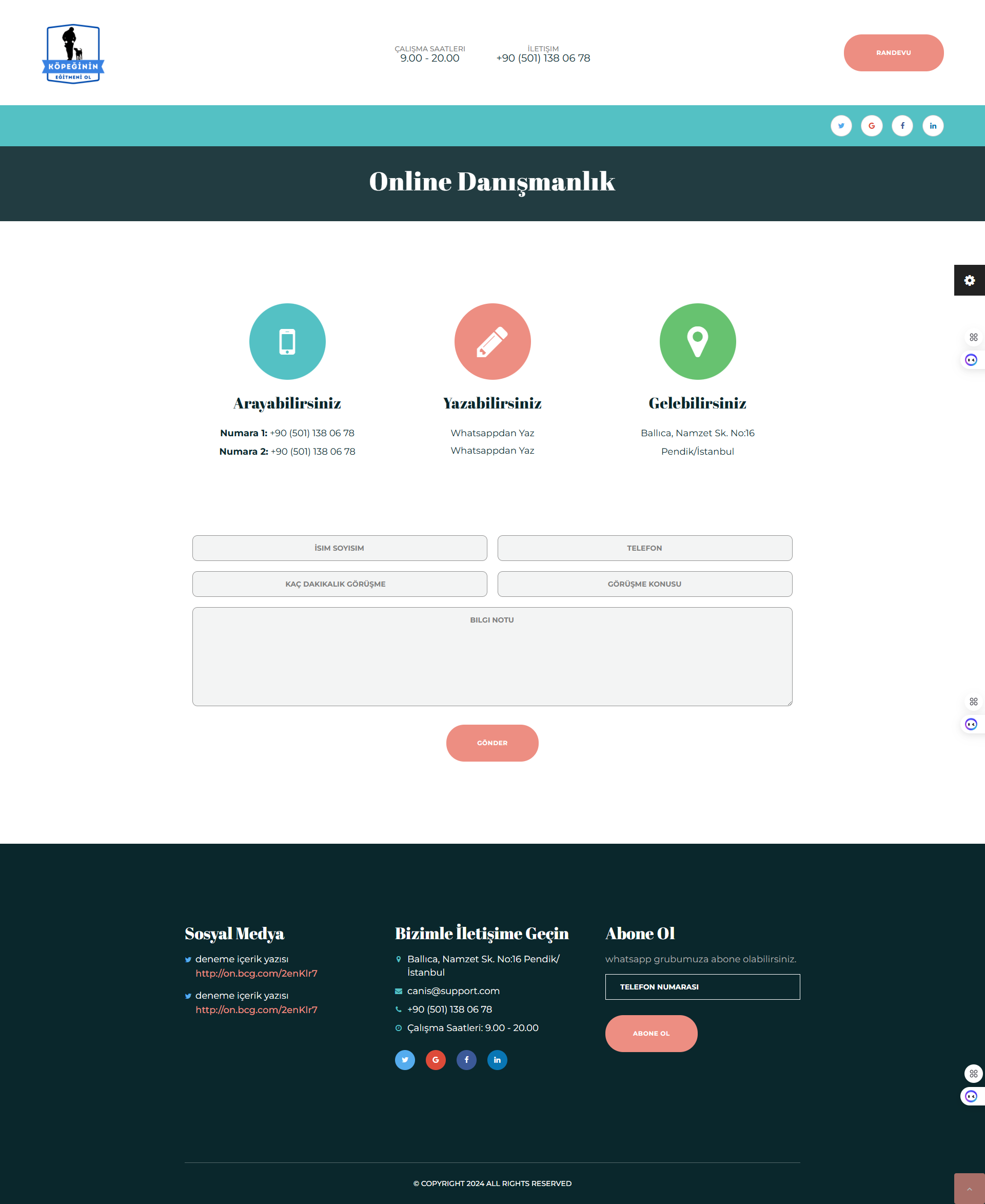 Köpeğin Eğitmeni Ol